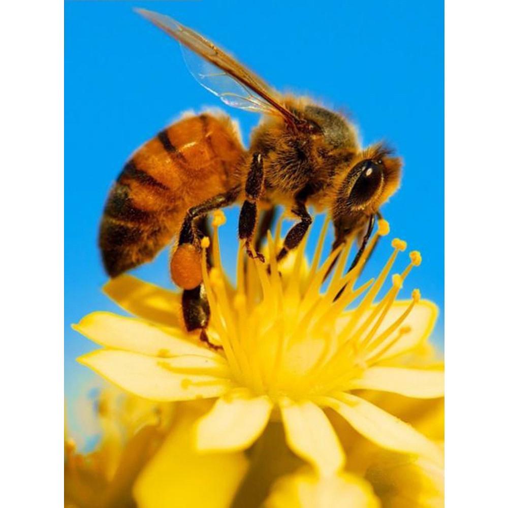 Полная квадратная/круглая алмазная живопись Горный пейзаж Горный хрусталь 5D Алмазная вышивка Тигр Олень Животное Мозаика Настенное искусство