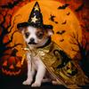 Stand-collar Halloween Pet Costume Star Small Dog Knight Cape Funny Cat Cosplay Cloak  Party