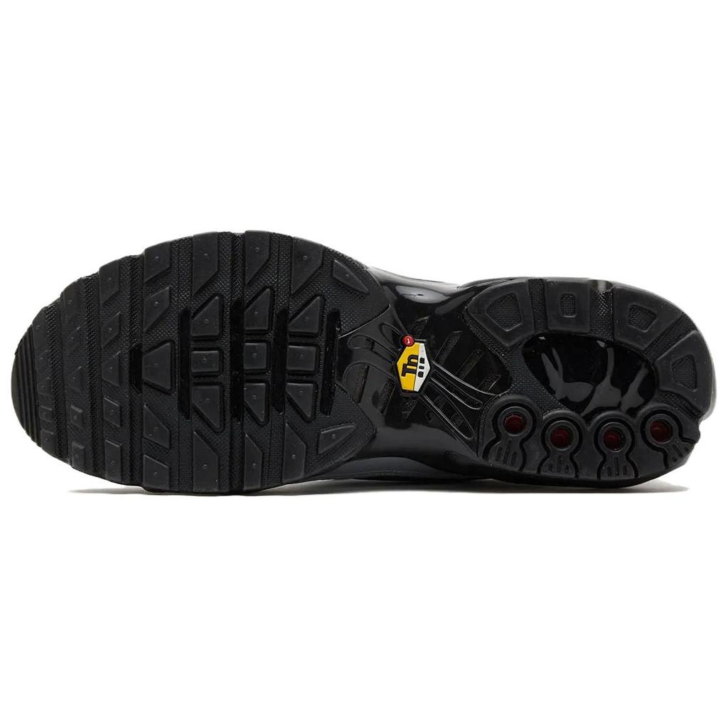 Nike Кроссовки Air Max Plus TNPO "Wolf Grey" Повседневная обувь HM6850-001