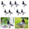 Simulation Foam Pigeon Model Realistic Bird Figurines Artificial Foam Bird Mini