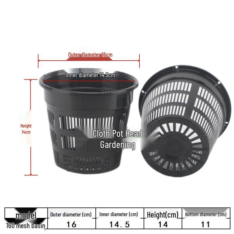 Transparent Orchid & Succulent Pot: Breathable Black Plastic Root Control Basket