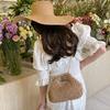 Boho Crossbody Bag Leisure Woven Clutch Bags Fashion Straw Weaving Shoulder Bag  for Ladies/Girls