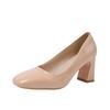 2025 New Spring New Square Head Thick Heels Women's Shallow Mouth Buckle Single Shoes Professional Shoes High Heels