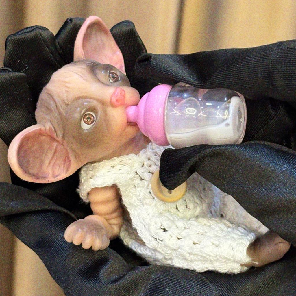 4-5Inch Silicone Cat Reborn Dolls Mini Palm Full Body Soft Silicone Bebe Reborn Doll Toys For Kids Birthday Gifts De Silicona