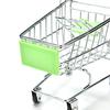 Parrot Supermarket Shopping Cart Kids Intelligence Growth Funny Toy Storage
