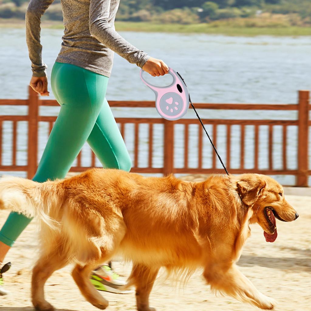 Automatic Retractable Dog Leash For Medium To Large Dogs, Outdoor Retractable Dog Walking Leash And Chain