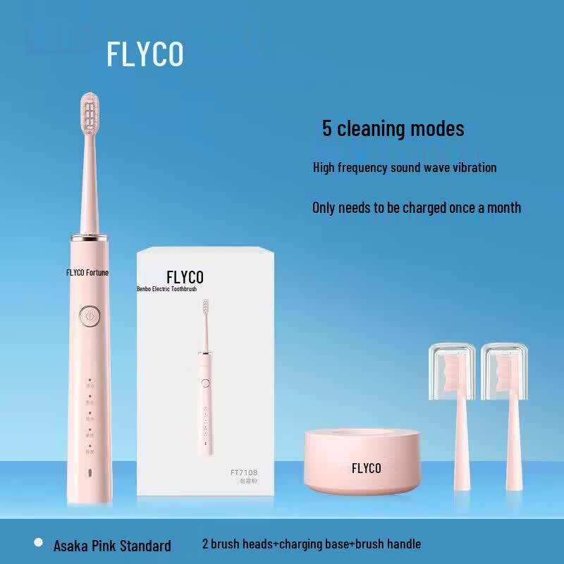 FLYCO FT7108 Sonic Electric Toothbrush CN plug (adapter included)