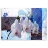 Canvas Print, Blue Orchid Composition