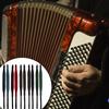 Плечевой ремень для аккордеона Удобная аккордеонная упряжь Ремень для аккордеона Модные ремни для аккордеона Подходит для аккордеона