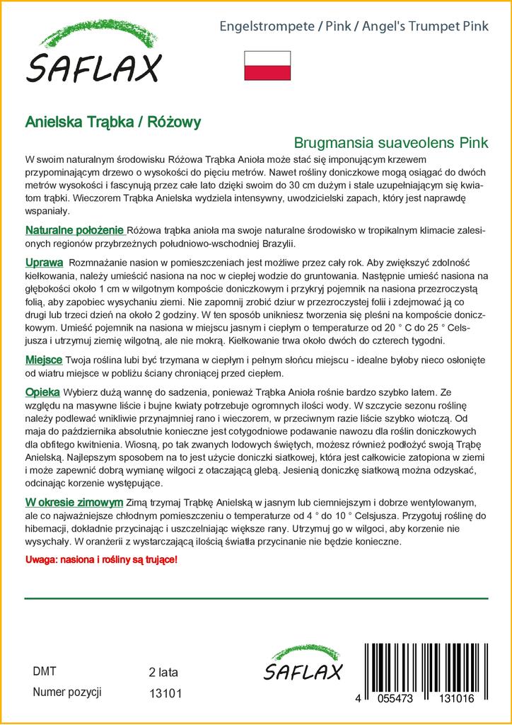 SAFLAX Angel's Trumpet Pink - 10 семян - Brugmansia suaveolens Pink