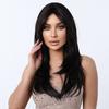 Womens Layered Long Straight Wig With Side-Swept Bangs Synthetic Heat-Resistant Fiber Full Cap Black Brown