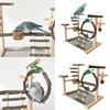 Stable Pet Parrot Training Stand Parrot Bird Training Stand Bird Cage Perch with Feeding Cups Swing Standing Wood Toy
