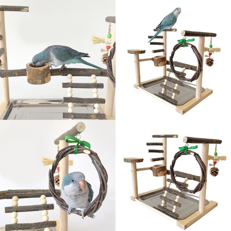 Stable Pet Parrot Training Stand Parrot Bird Training Stand Bird Cage Perch with Feeding Cups Swing Standing Wood Toy