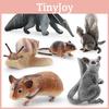 Очаровательные пластиковые фигурки лесных животных с хомяком, улиткой, сахарным поссумом, мышью, сурикатом и муравьедом для творческой игры