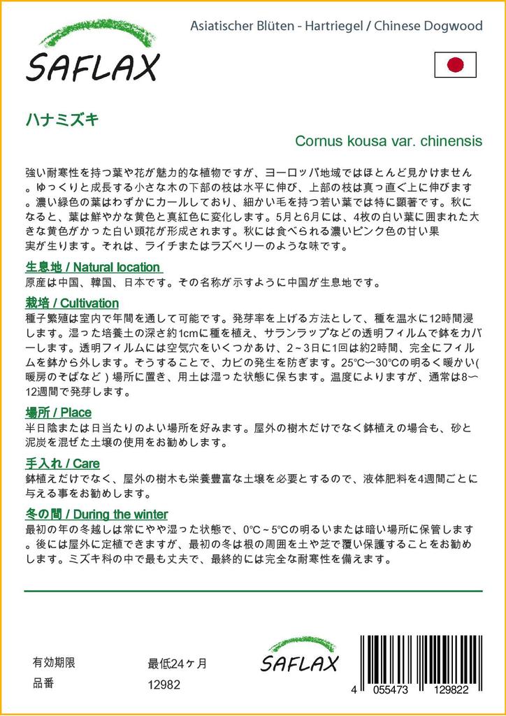 SAFLAX Подарочный набор - Кизил китайский - 30 семян - С подарочной коробкой, карточкой, этикеткой и субстратом для горшков - Cornus kousa