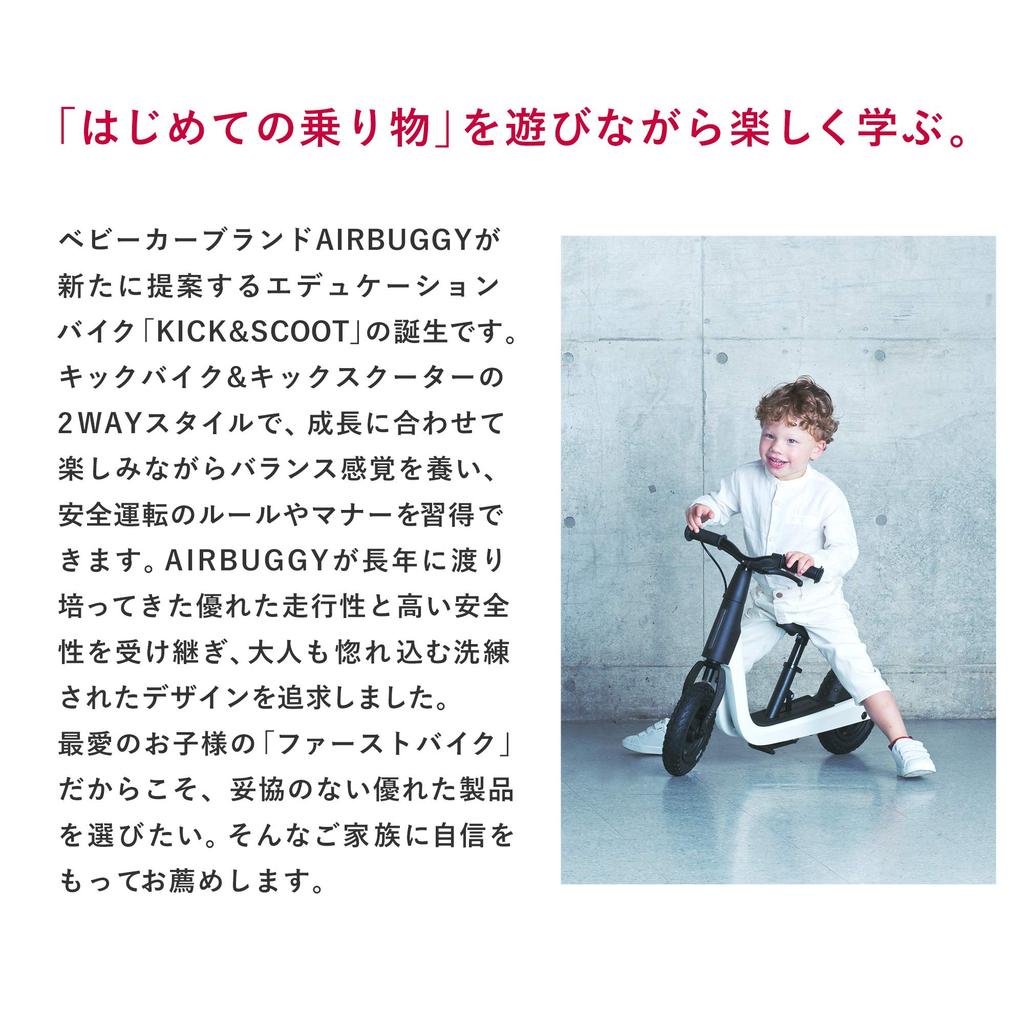 AIRBUGGY KICK AND SCOOT Air buggy kick and scoot 2way (черный)