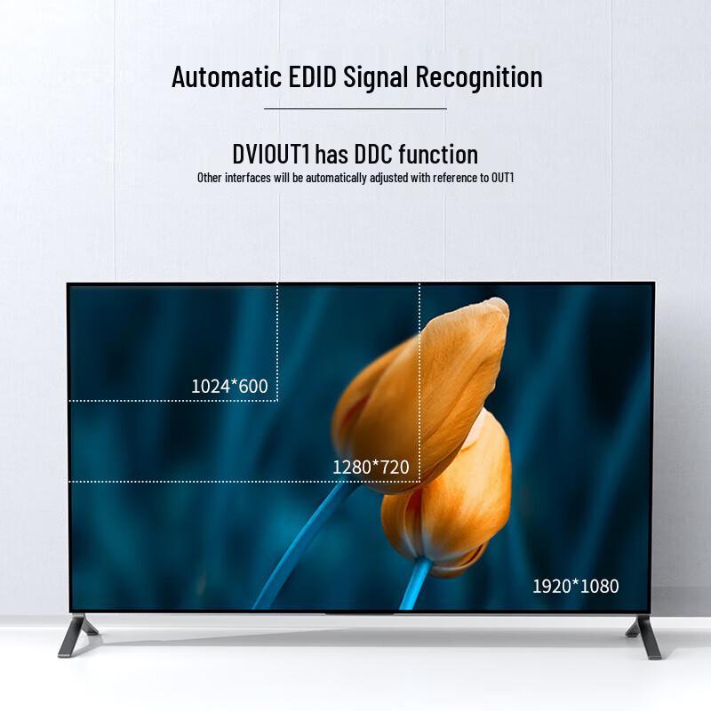 MT-viki DVI Video Splitter