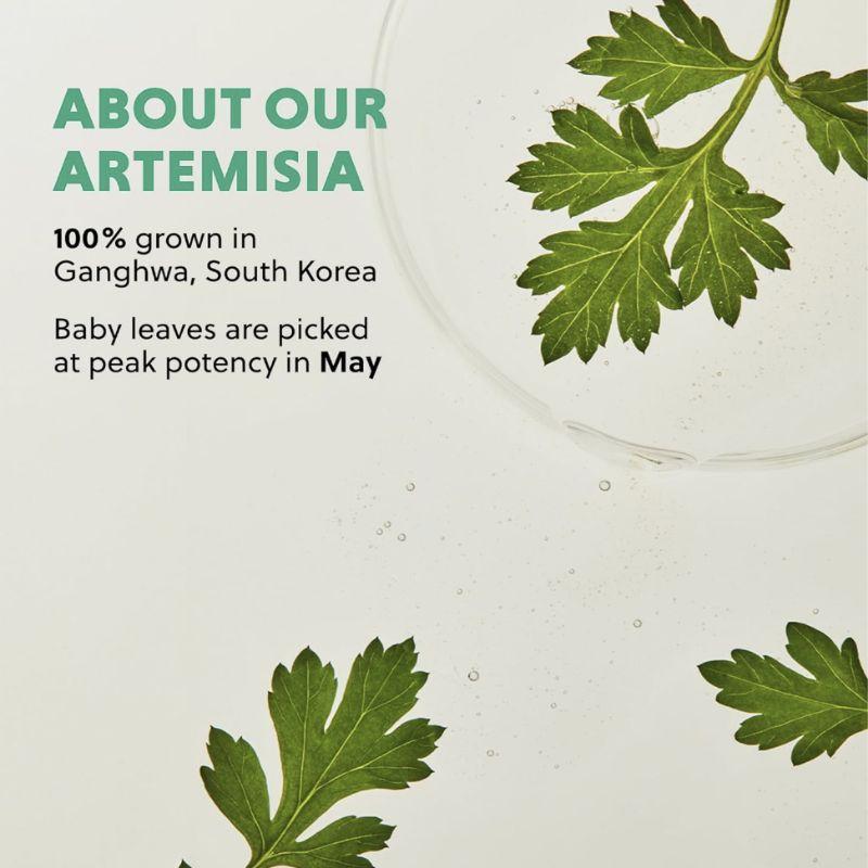 HANYUL Young Mugwort Calming Moisture Pad 170ml / 60 Pads (1pc)