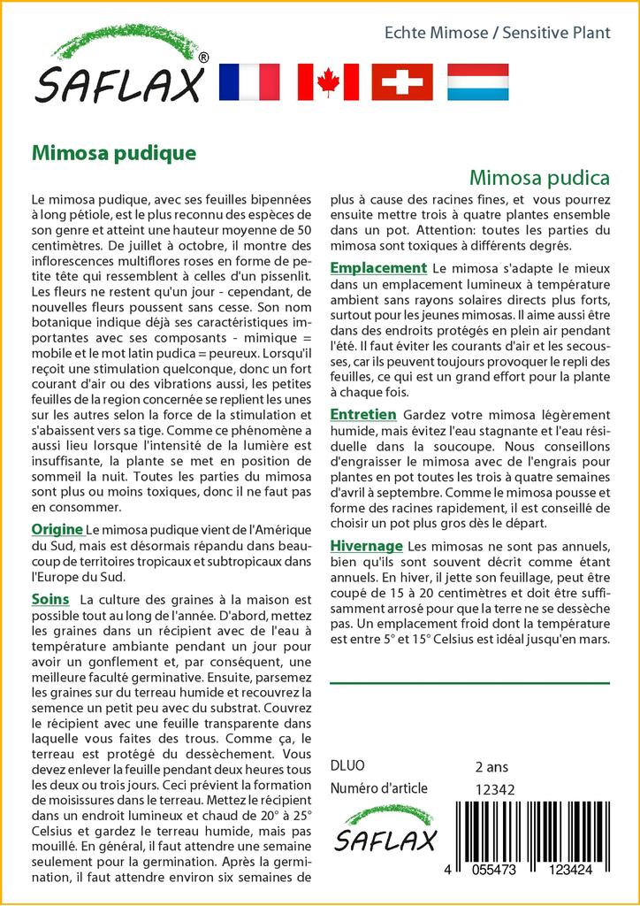 SAFLAX Sensitive Plant - 70 семян - С горшечным субстратом для лучшего выращивания - Mimosa pudica