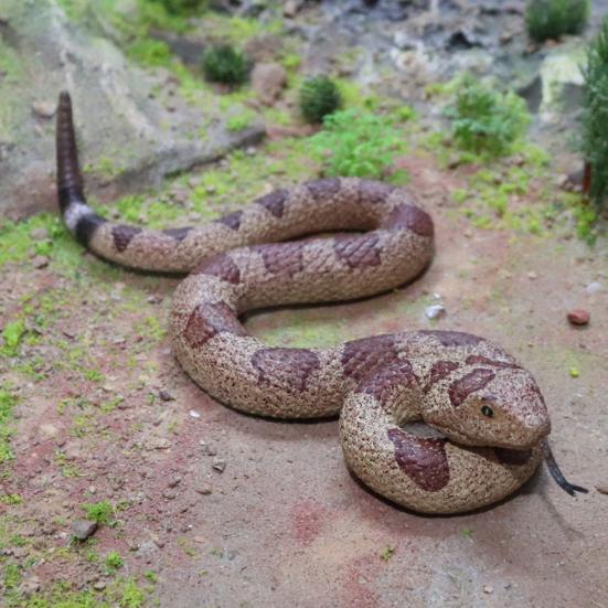 Реалистичная игрушка-змея, мягкая модель змеи из термопластичной резины, отпугивает птиц, отпугивает белок, имитация змеи, сложный реквизит для детей и взрослых, подарок на вечеринку в честь Хэллоуина