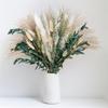 Handmade Dried Flower with Phragmites Communis and Rabbit Tail for Farmhouses Style Arrangement and Stable Gift