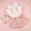 INS Pet Dog Plaid Dress with Clip Hair Cute Colling Set Cat Clothing Spring Autumn Niche Lace Dress Dog Clothing for Small Dogs