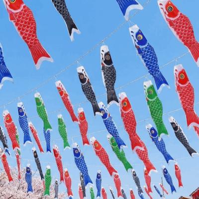 40/70/100 см Японский карп Кои Ветряной носок Традиционный подвесной флаг-носок с карпом Мультяшные разноцветные флаги в форме карпа Для улицы