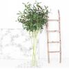 1 Branch Fake Plant Realistic Fresh-keeping 6/10 Forked Fancy Decorative Vivid Artificial Olive for Balcony