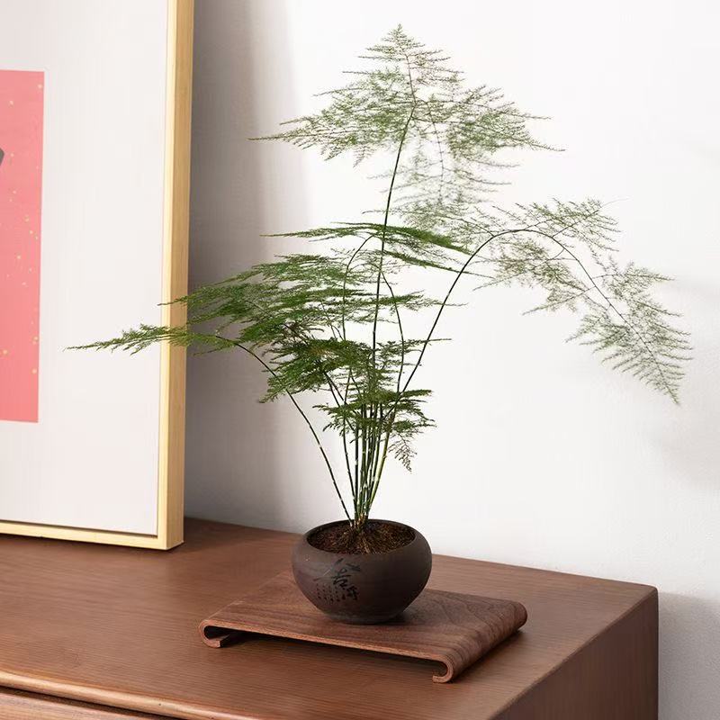 Поднос для чая из пенопласта, новый китайский декоративный предмет домашнего обихода, небольшой поднос для чая из цельного дерева из сухой пенопласта, простая деревянная тарелка, новый