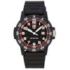 SEA Turtle Giant Plastic Strap Black Dial Swiss Quartz XS.0335 100M Men's Watch
