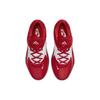 Nike Кроссовки Zoom Freak 4 TB University Red Unisex белые DO9679-600