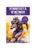 Книга Minnesota Vikings Fun Facts