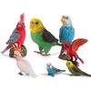 Фигурки птиц-симуляторов, попугай, ара, волнистый попугайчик, реалистичные модели животных, детские игрушки для познания, подарки