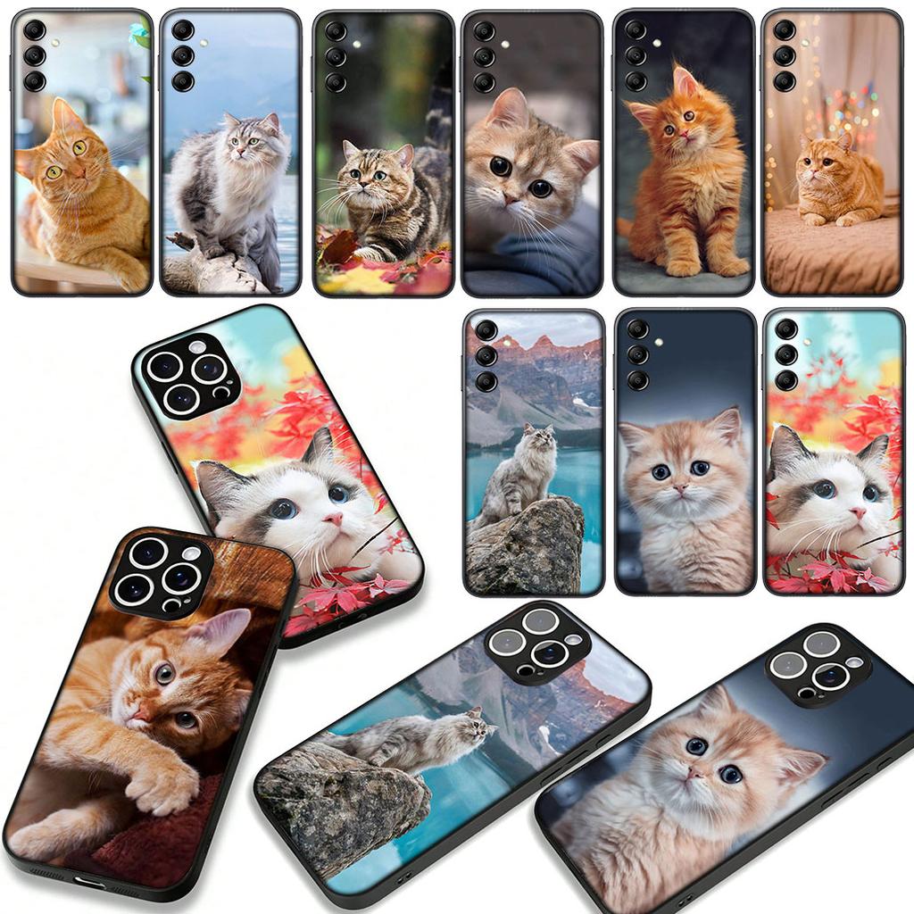 Чехол для телефона с рисунком котенка для Apple iPhone 17 16 15 11 Pro XS Max XR 6 7 8 Plus + SE 2020 5 16E