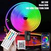 Rgb Неоновая Светодиодная Лента Dc24V Уличная Водонепроницаемая 5М 30М 10/15/20 Метров Неоновая Светодиодная Лента Приложение Bluetooth Умная Неоновая Светодиодная Лента