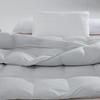 Muji Premium Winter Duck Down Comforter