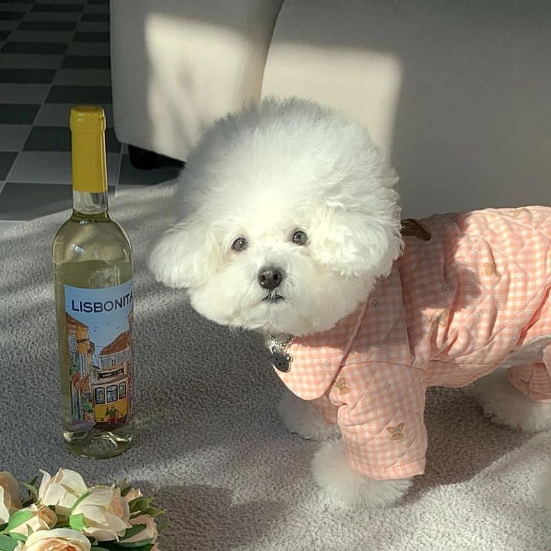 Одежда из хлопка для четвероногих собак Пальто Тедди Зимняя теплая одежда Одежда для маленьких собак с героями мультфильмов Утепленные комбинезоны для пуделей Куртки