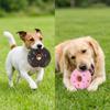 2PCS Premium Latex Squeaky Pet Donut Toy Squeaky Dog Chew Donut Toy Pet Molar Play Toy  Pet Training