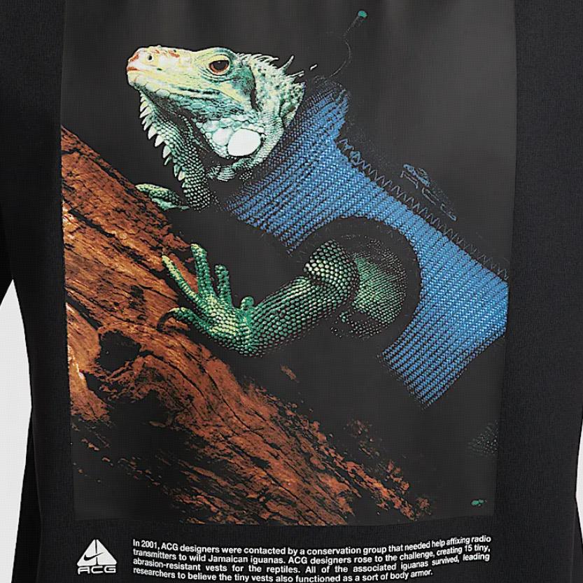 Nike Acg Iguana T-shirt HJ0890-010