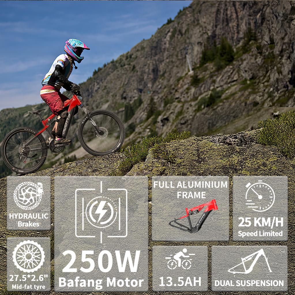 DUOTTS E29 Electric Bike 250W(Peak Value of 750W) Motor 48V 13.5Ah Battery Off-road Electric Bicycle 27.5 Inch Fat Tire E Bike