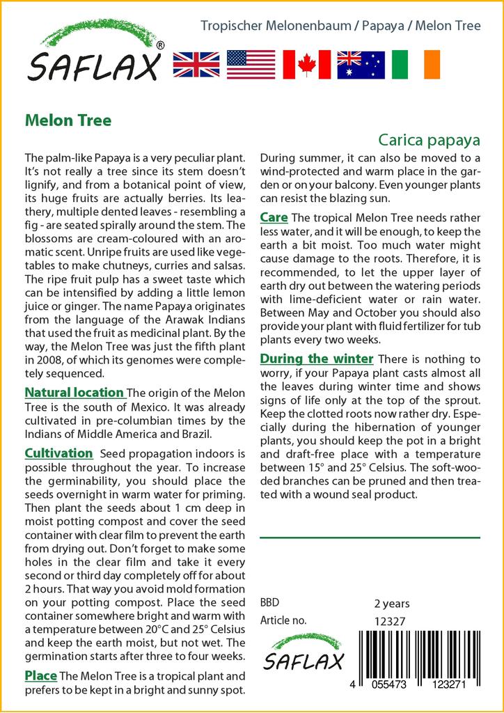 SAFLAX Дынное дерево - 30 семян - Carica papaya