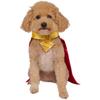 Superman Krypto Dog Costume