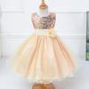 Girls' Mesh Puffy Dress Holiday Performance Dress Princess Dress