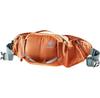 Рюкзак Deuter Pulse 3 chestnut/teal (3910123-9319)
