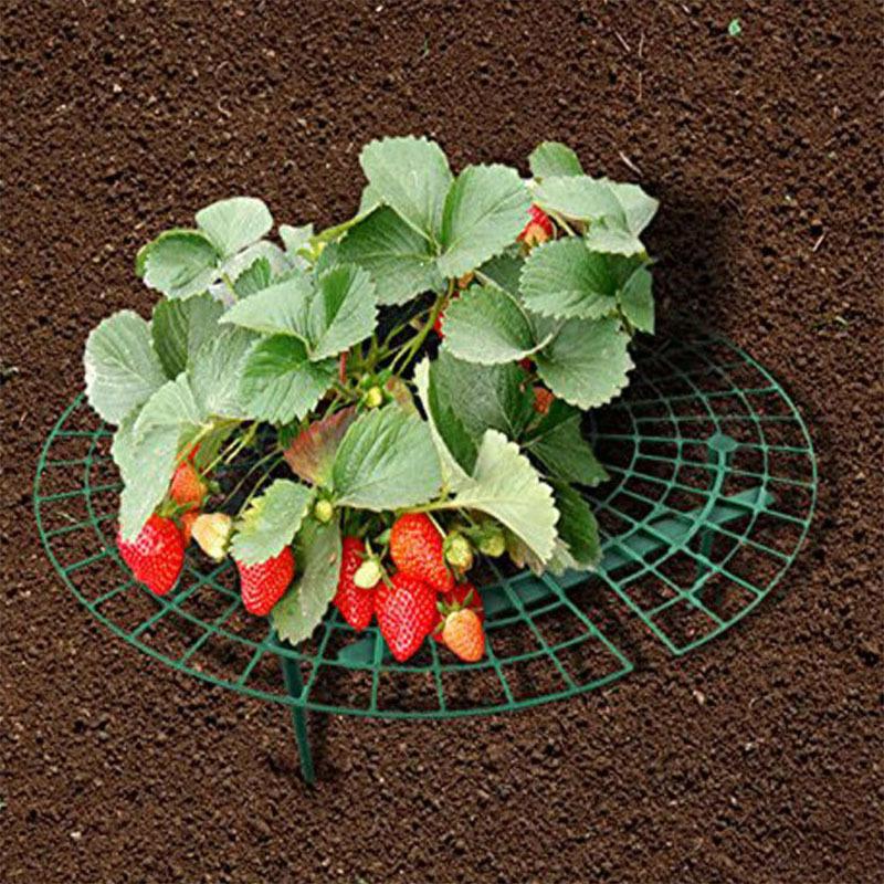 Стенд для поддержки ростков клубники. 30×30см