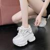 10CM High Heels Autumn Chunky Sneakers for Women  New Platform Sports Mesh Shoes Woman Lace-up Thick Bottom Dad Shoes Ladies