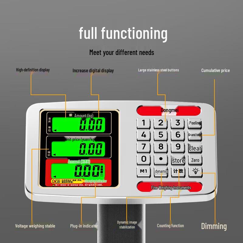 Dongmei Industrial Electronic Platform Scale