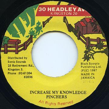 7inch Record PINCHERS Increase My Knowledge NONE 30 Headley Ave. 1987 Jamaica Reggae Ska Dub Used