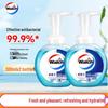 Walch Healthy Care Foaming Antibacterial Hand Wash
