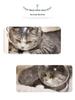 Прозрачный космический шлем для кошки - Дышащий, устойчивый к царапинам и укусам, с ушками